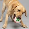 Skatrs Strawberry Latex Chew Toy for Dogs (Pink) Dogs-Toys Skatrs