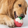 Skatrs Strawberry Latex Chew Toy for Dogs (Pink) Dogs-Toys Skatrs 13x10cm
