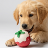 Skatrs Strawberry Latex Chew Toy for Dogs (Pink) Dogs-Toys Skatrs