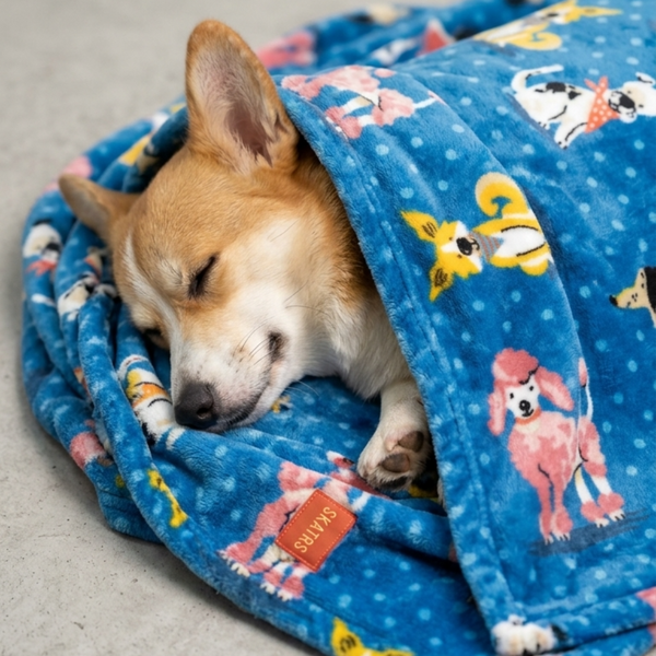 Skatrs Dog Print Blanket for Pets & Humans (Blue)