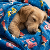Skatrs Dog Print Blanket for Pets & Humans (Blue) Both-Bedding, Mats & Travel Supplies Skatrs