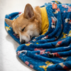 Skatrs Dog Print Blanket for Pets & Humans (Blue) Both-Bedding, Mats & Travel Supplies Skatrs 60x40in