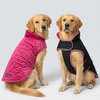 Skatrs Reversible VelvetJacket for Dogs and Cats (Maroon/Black) Both-Clothing & Accessories Skatrs