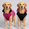 Skatrs Reversible VelvetJacket for Dogs and Cats (Maroon/Black) Both-Clothing & Accessories Skatrs