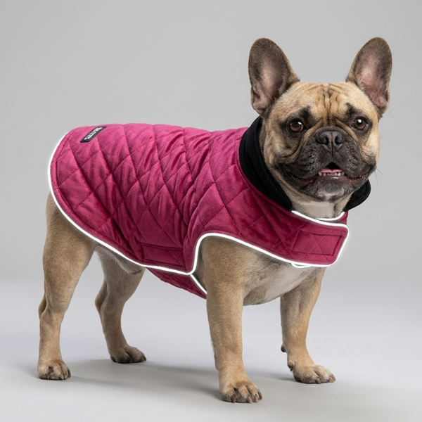 Skatrs Reversible Velvet Jacket for Dogs and Cats (Maroon/Black)
