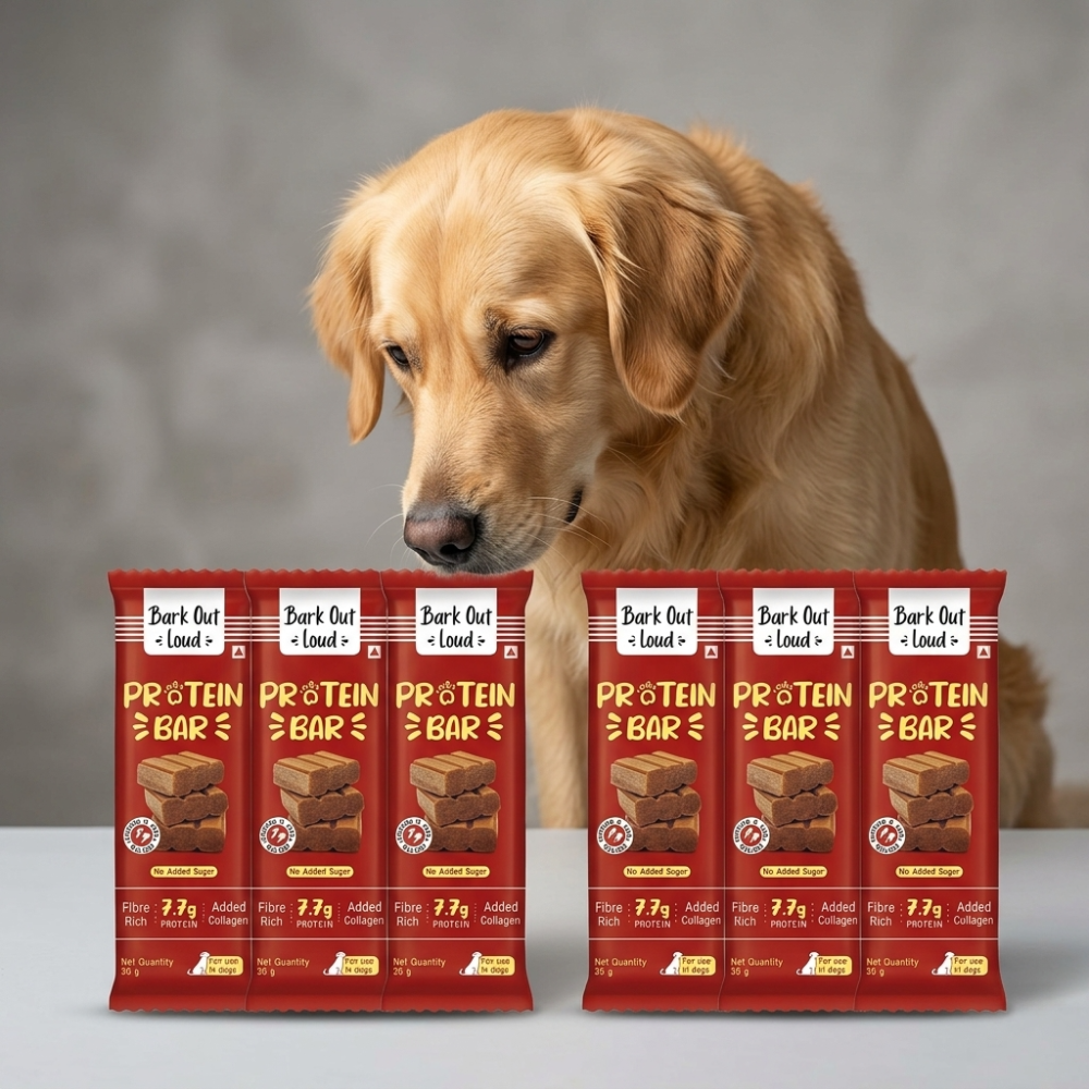Bark Out Loud Collagen Protein Bar Chicken & Fish Treat for Dogs Dog Treats + Others Bark Out Loud 6x35g