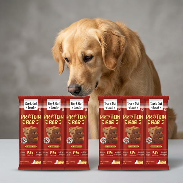 Bark Out Loud Collagen Protein Bar Chicken & Fish Treat for Dogs