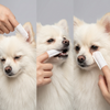 Skatrs Pet Finger Wipes for Dogs and Cats Both-Grooming Supplies Skatrs