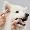 Skatrs Pet Finger Wipes for Dogs and Cats Both-Grooming Supplies Skatrs