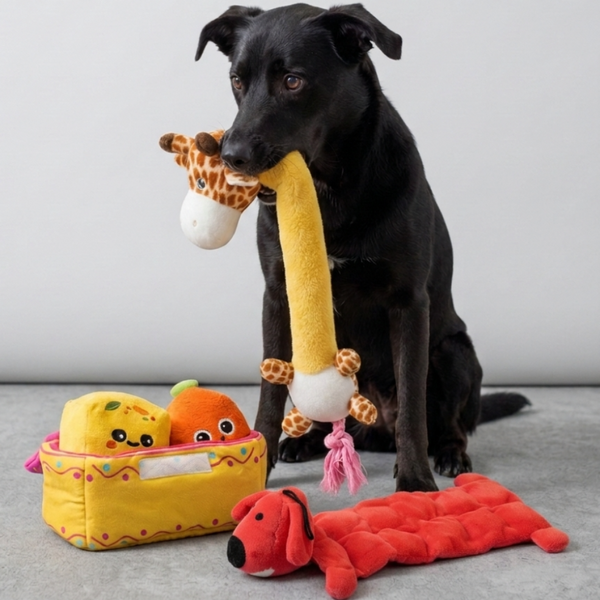 Skatrs Jolly Plushy Toy Combo for Dogs
