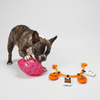 Skatrs Super fun Toy Combo for Dogs Both-Toys Skatrs