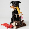 Skatrs snuggy toy combo for dogs Dogs-Toys Skatrs Pack of 3