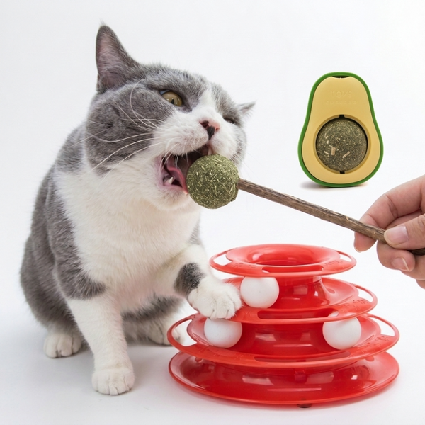 Skatrs Kitty fun for Cats