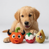 Skats Chick Berry Latex toys for dogs Dogs-Toys Skatrs Pack of 3