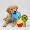 Skatrs PlayOClock toy combo for Dogs