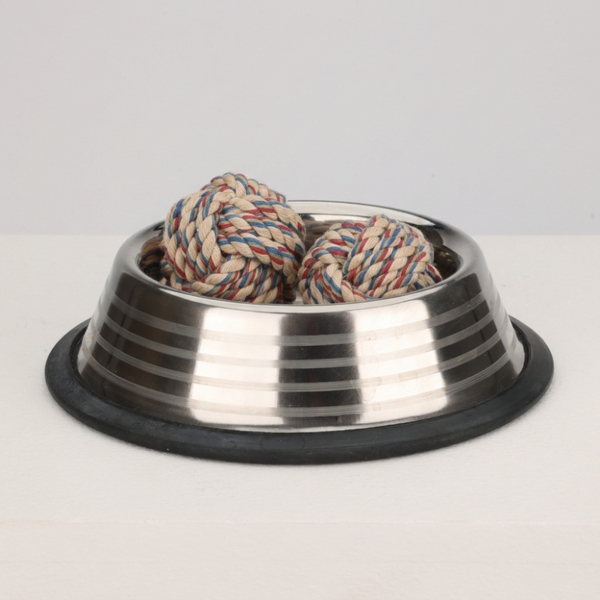 Skatrs - Play and hydrate combo for dogs (Assorted Rope toy in colour and shape)