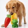 Skatrs Squeaky combo for dogs
