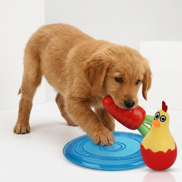 Skatrs Fetch & Fun Set Toy combo for Dogs