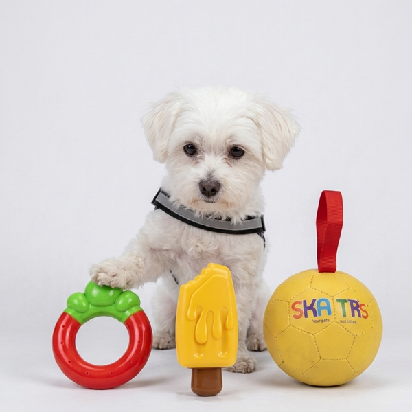 Skatrs Chew Crew