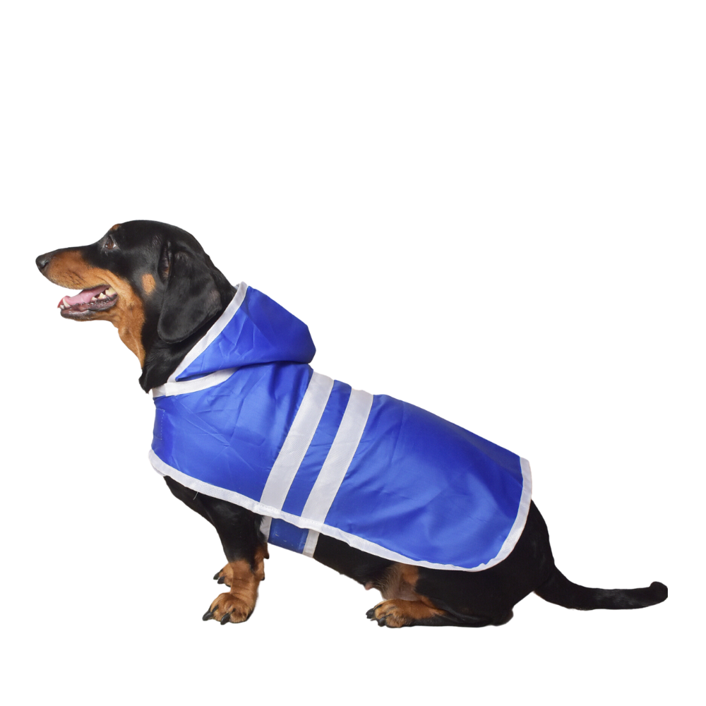 Pet Set Go Raincoat for Dogs (Blue)