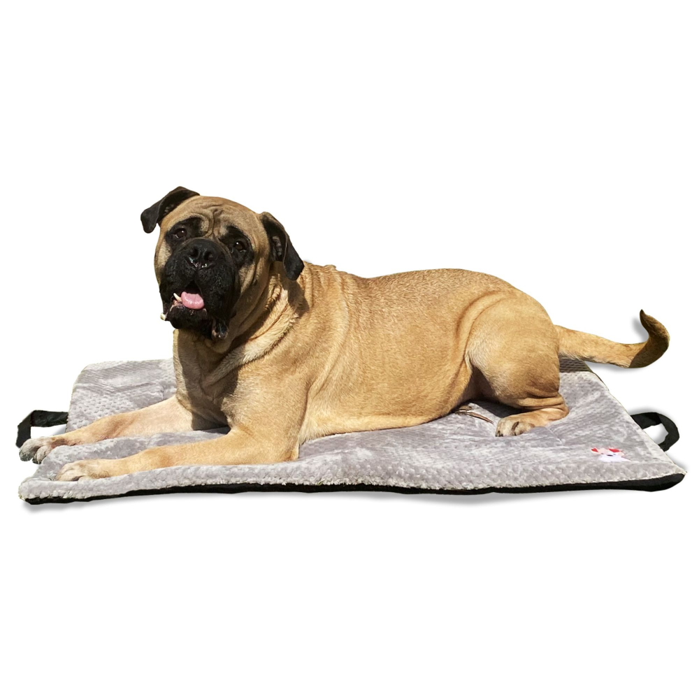 Petter World Orthopedic Memory Foam Crate Mat for Joint Support & Pressure Relief for Dogs (Meteorite)