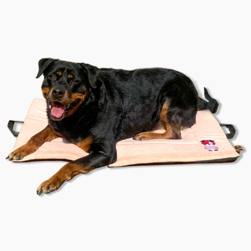 Petter World Orthopedic Memory Foam Crate Mat for Joint Support & Pressure Relief for Dogs (Peach Pearl)
