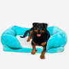 Petter World Ultra Luxury Micro Fur Orthopedic Sofa Bed with Sherpa Fur Cushion for Dogs and Cats (Turquoise) Both-Bedding, Mats & Travel Supplies Petter World Dropship