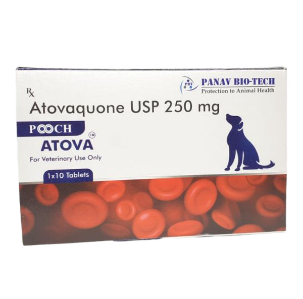 Panav Biotech Pooch Atova (Atovaquone) 250mg for Dogs (pack of 10 tablets)