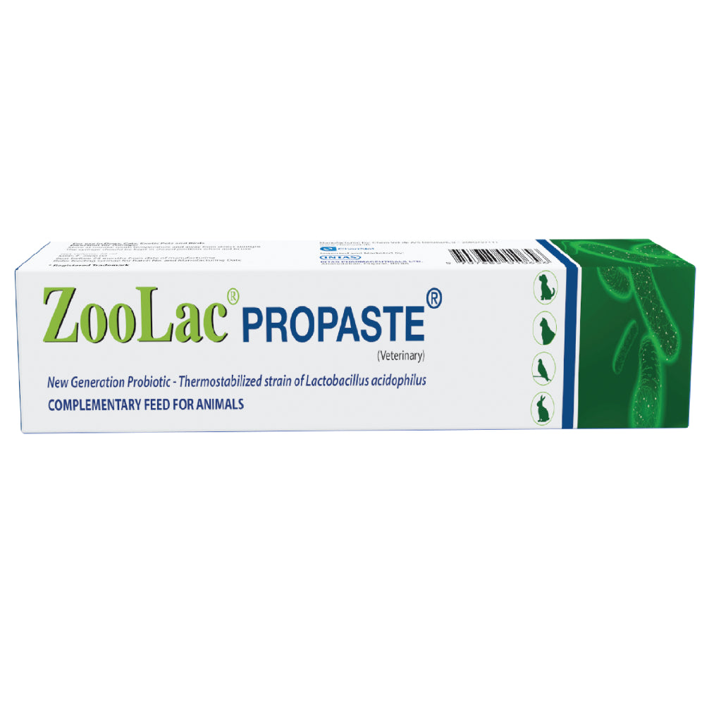 Intas Zoolac Propaste for Dogs and Cats | Supertails