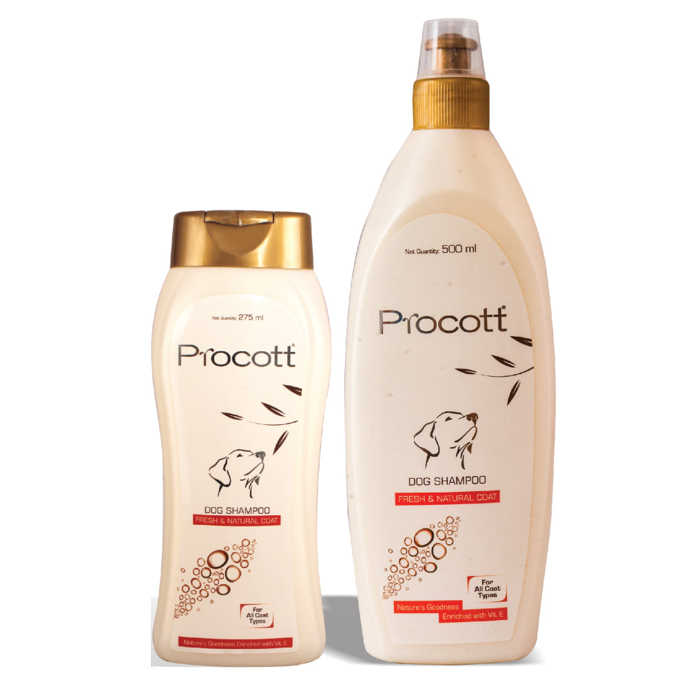 Intas Procott Shampoo for Dogs