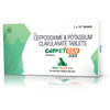 Intas Cefpet CLV 325 Tablets (Cefpodoxime & Potassium Clavulanate) for Dogs and Cats