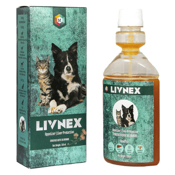 Medfly Healthcare LivNex Syrup for Dogs and Cats (250ml)