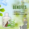 Dr Goel&