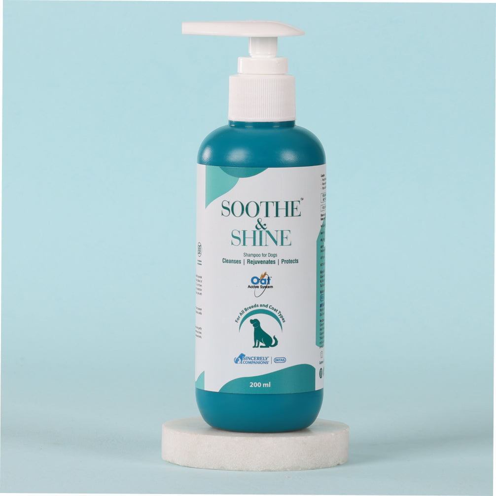 Intas Soothe & Shine Shampoo for Dogs