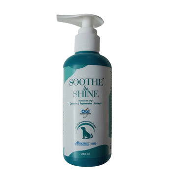 Intas Soothe & Shine Shampoo for Dogs