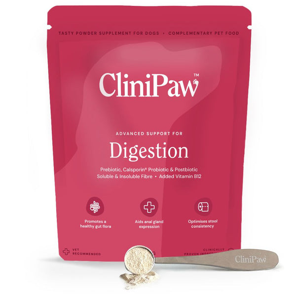 CliniPaw Advanced Support for Digestion Supplement for Dogs (180g)