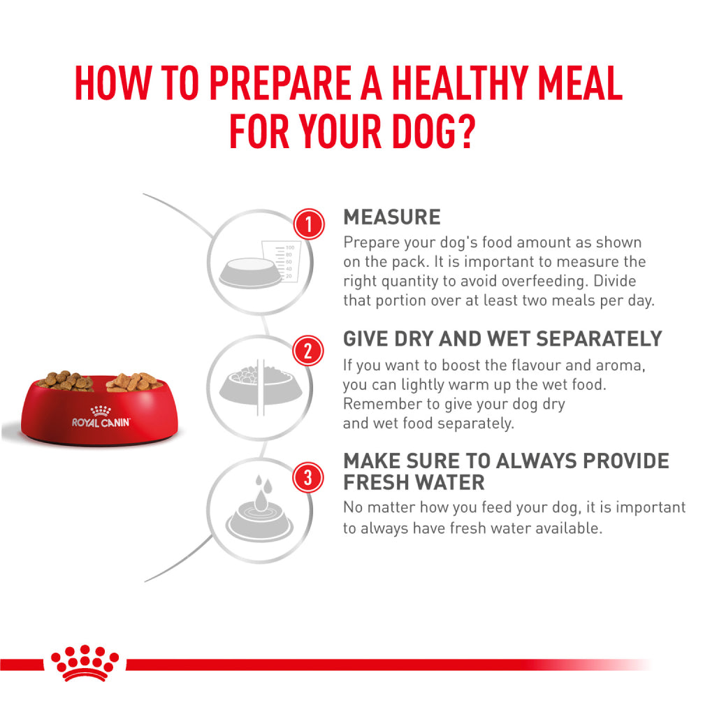 Royal Canin Veterinary Diet Neutered Adult for Small Dog Dry Food Dogs- Dry Food Royal Canin V-Diet