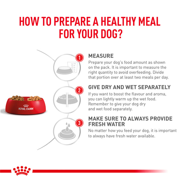 Royal Canin Veterinary Diet Neutered Adult for Small Dog Dry Food