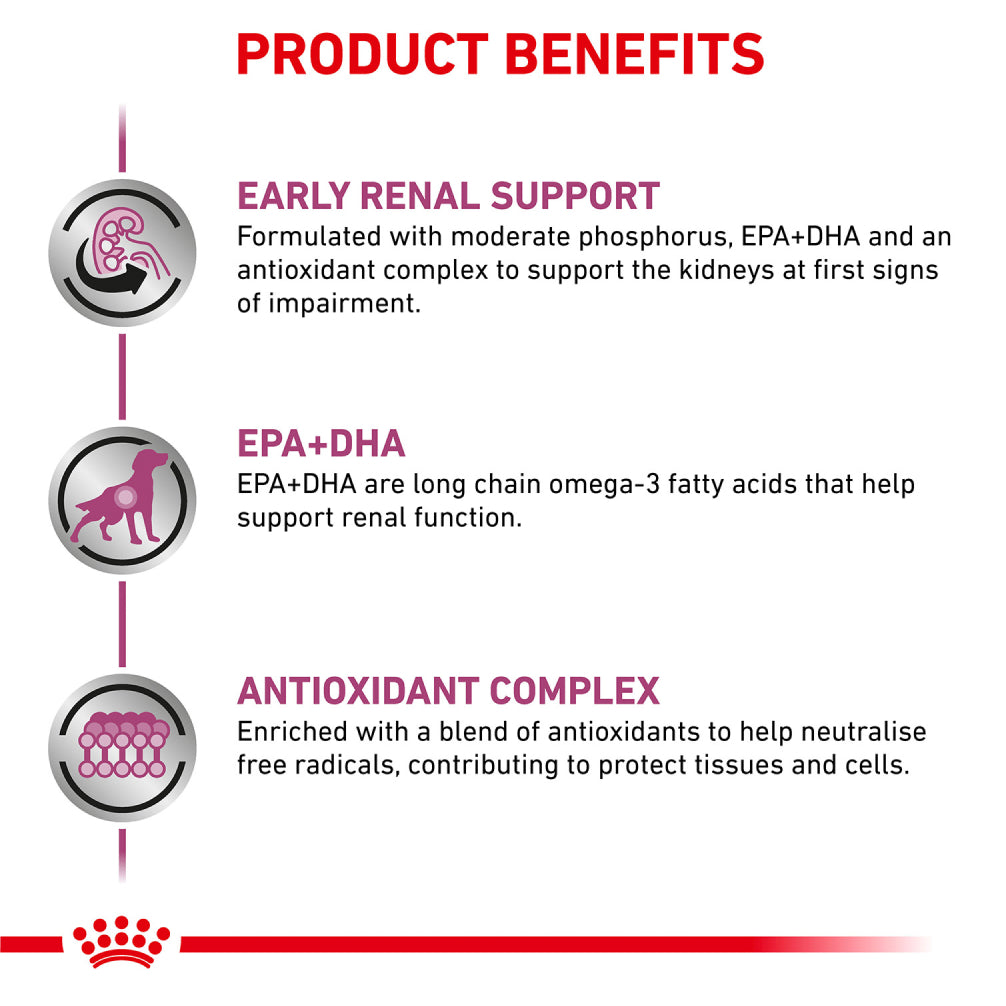 Royal Canin Veterinary Diet Early Renal Cat Dry Food Cats- Dry food Royal Canin V-Diet