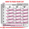Royal Canin Veterinary Diet Early Renal Cat Dry Food Cats- Dry food Royal Canin V-Diet