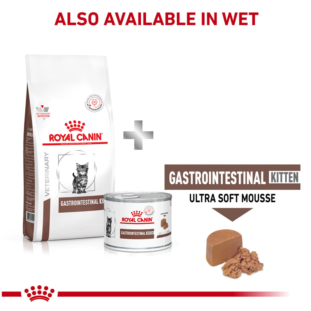 Royal Canin Veterinary Diet Gastrointestinal Kitten Dry Food Cats- Dry food Royal Canin V-Diet
