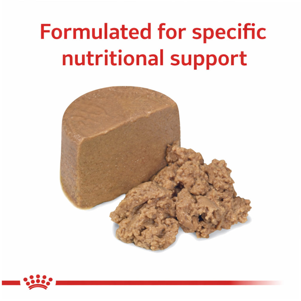 Royal Canin Veterinary Diet Gastrointestinal Puppy Food Can Wet Food Dogs-Wet Food Royal Canin V-Diet