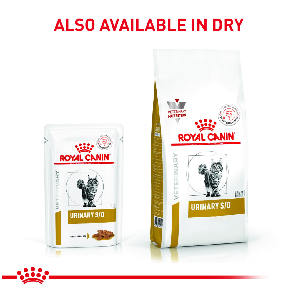 Royal Canin Veterinary Diet Urinary S/O Cat Chicken Wet Food Cats-Wet Food Royal Canin V-Diet