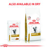 Royal Canin Veterinary Diet Urinary S/O Cat Chicken Wet Food Cats-Wet Food Royal Canin V-Diet