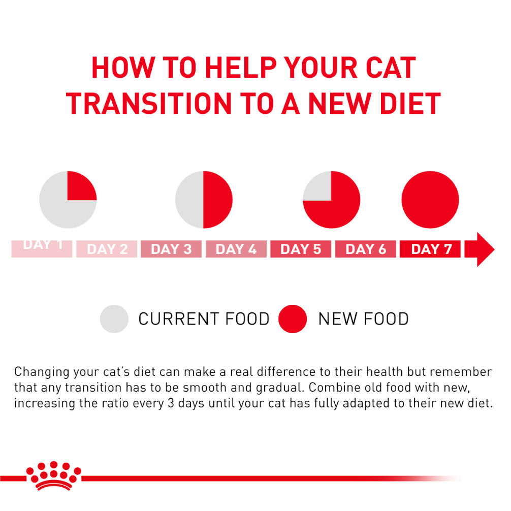 Royal Canin Veterinary Diet Skin & Coat Cat Wet Food Cats-Wet Food Royal Canin V-Diet