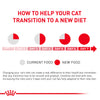 Royal Canin Veterinary Diet Skin & Coat Cat Wet Food Cats-Wet Food Royal Canin V-Diet