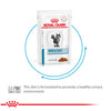 Royal Canin Veterinary Diet Skin & Coat Cat Wet Food Cats-Wet Food Royal Canin V-Diet