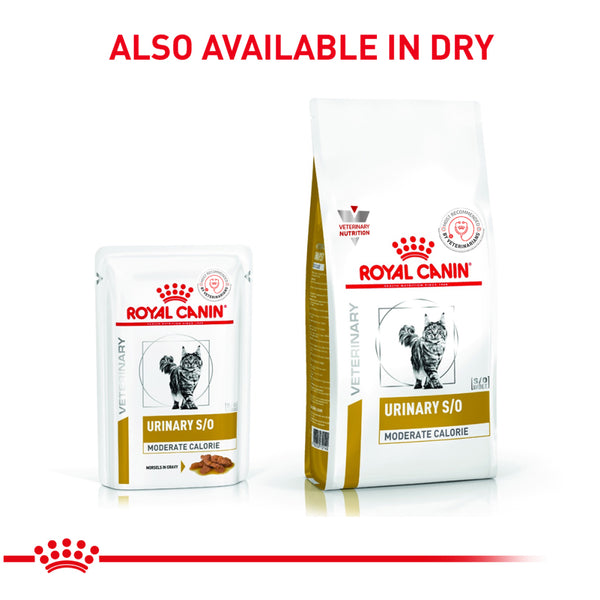 Royal Canin Veterinary Diet Urinary S/O Moderate Calorie Cat Wet Food