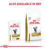 Royal Canin Veterinary Diet Urinary S/O Moderate Calorie Cat Wet Food Cats-Wet Food Royal Canin V-Diet
