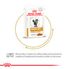 Royal Canin Veterinary Diet Urinary S/O Moderate Calorie Cat Wet Food Cats-Wet Food Royal Canin V-Diet